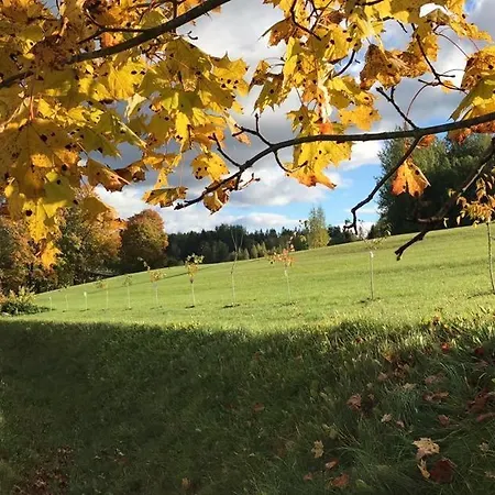 דירה Ala Saunamaja