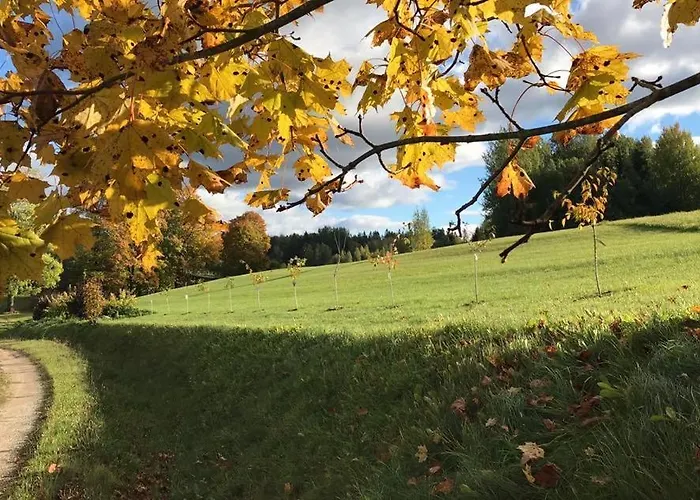 Lägenhet Ala Saunamaja